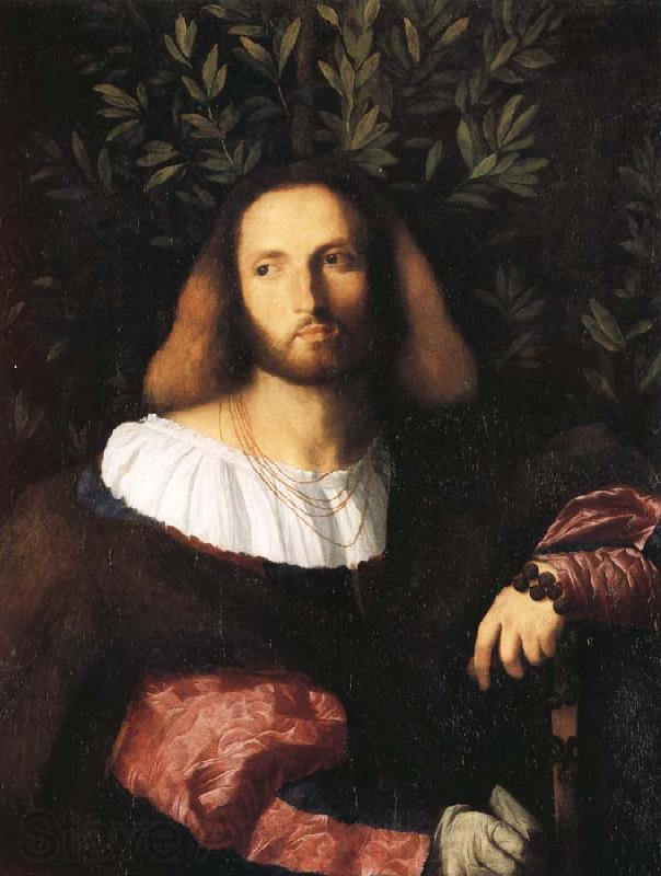 Palma Vecchio Portrait of a Poet Norge oil painting art